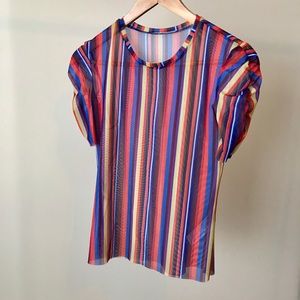 Zara Multi Color Sheer Top